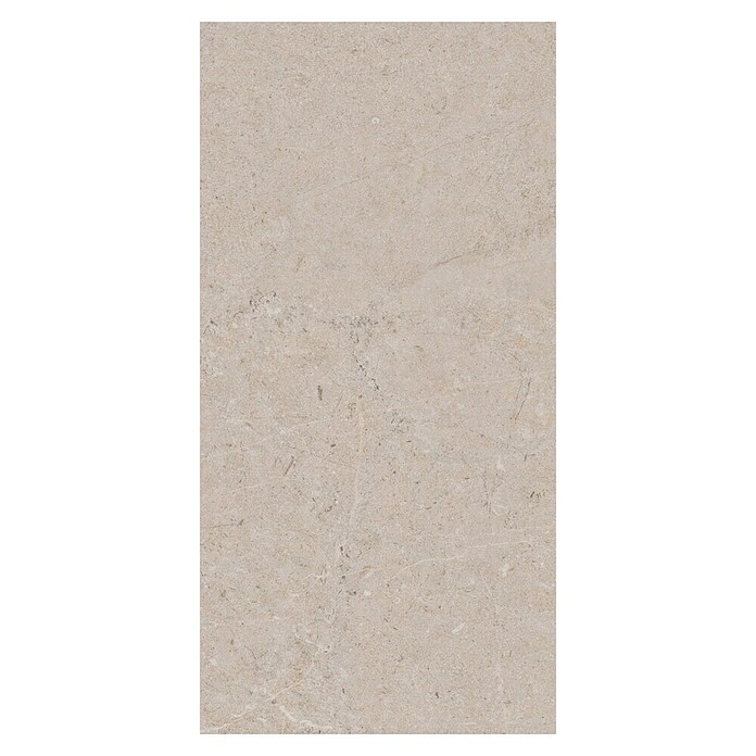 Palazzo Feinsteinzeugfliese Valdi (30 x 60 cm, White, Matt) | BAUHAUS