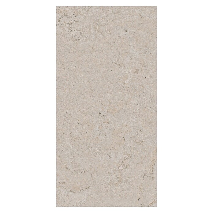 Palazzo Feinsteinzeugfliese Valdi (30 x 60 cm, White, Matt) | BAUHAUS