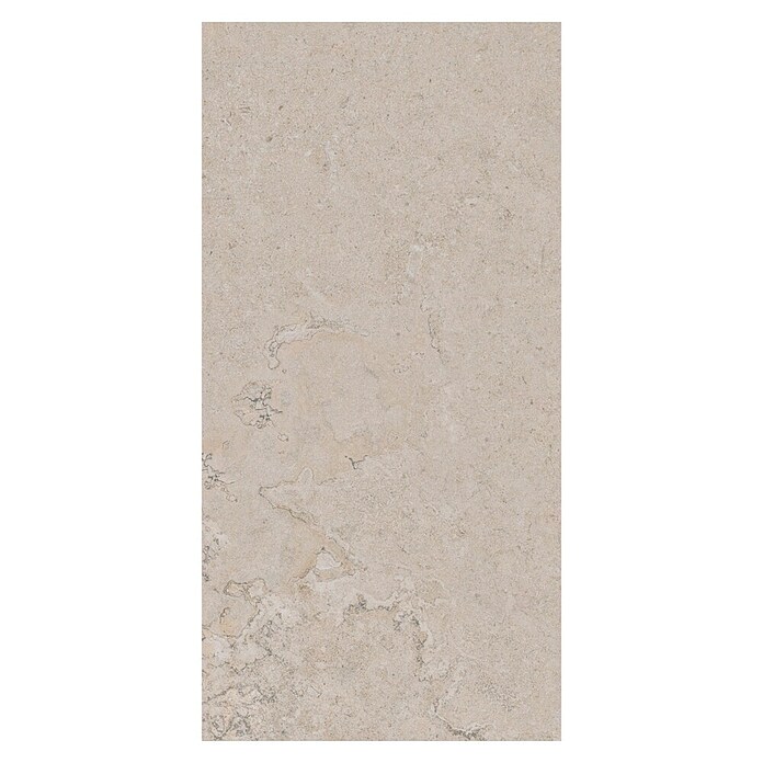 Palazzo Feinsteinzeugfliese Valdi (30 x 60 cm, White, Matt) | BAUHAUS
