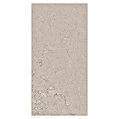 Palazzo Feinsteinzeugfliese Valdi (30 x 60 cm, White, Matt) | BAUHAUS