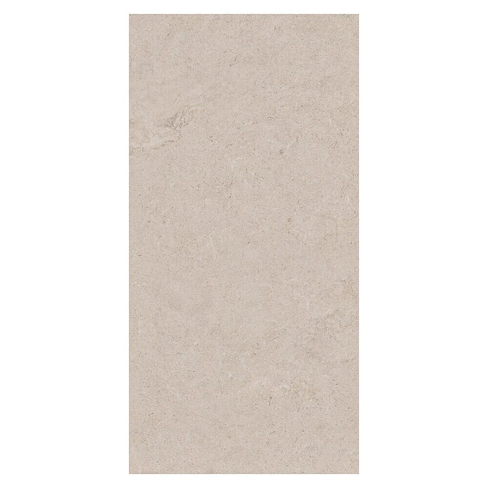Palazzo Feinsteinzeugfliese Valdi (60 x 120 cm, White, Matt) | BAUHAUS