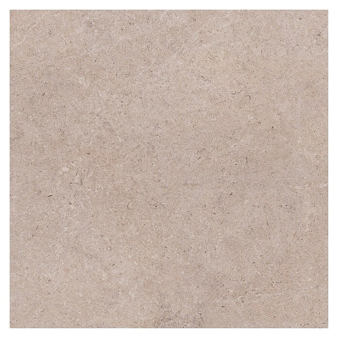 Palazzo Feinsteinzeugfliese Valdi (60 x 60 cm, Beige, Matt) | BAUHAUS