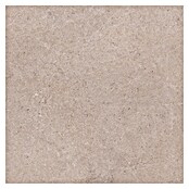 Palazzo Feinsteinzeugfliese Valdi (60 x 60 cm, Beige, Matt) | BAUHAUS