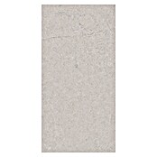 RAK Ceramics Feinsteinzeugfliese Valdi (30 x 60 cm, Light Grey, Matt) | BAUHAUS
