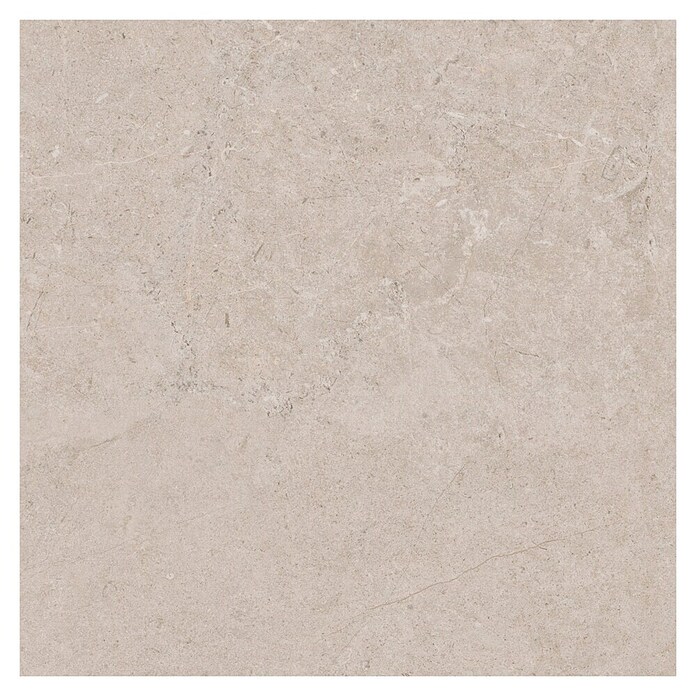 RAK Ceramics Feinsteinzeugfliese Valdi (60 x 60 cm, White, Matt) | BAUHAUS