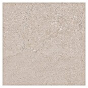 RAK Ceramics Feinsteinzeugfliese Valdi (60 x 60 cm, White, Matt) | BAUHAUS