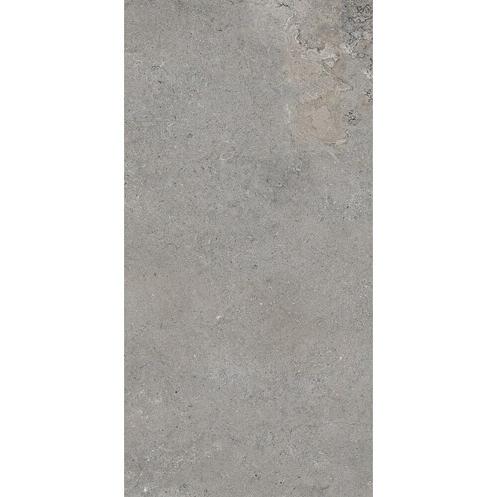 Palazzo Feinsteinzeugfliese Valdi (30 x 60 cm, Taupe, Matt) | BAUHAUS