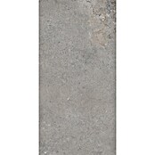 Palazzo Feinsteinzeugfliese Valdi (30 x 60 cm, Taupe, Matt) | BAUHAUS