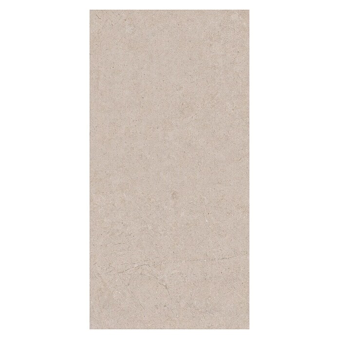 Palazzo Feinsteinzeugfliese Valdi (60 x 120 cm, White, Matt) | BAUHAUS