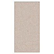 Palazzo Feinsteinzeugfliese Valdi (60 x 120 cm, White, Matt) | BAUHAUS