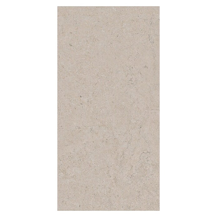Palazzo Feinsteinzeugfliese Valdi (30 x 60 cm, White, Matt) | BAUHAUS