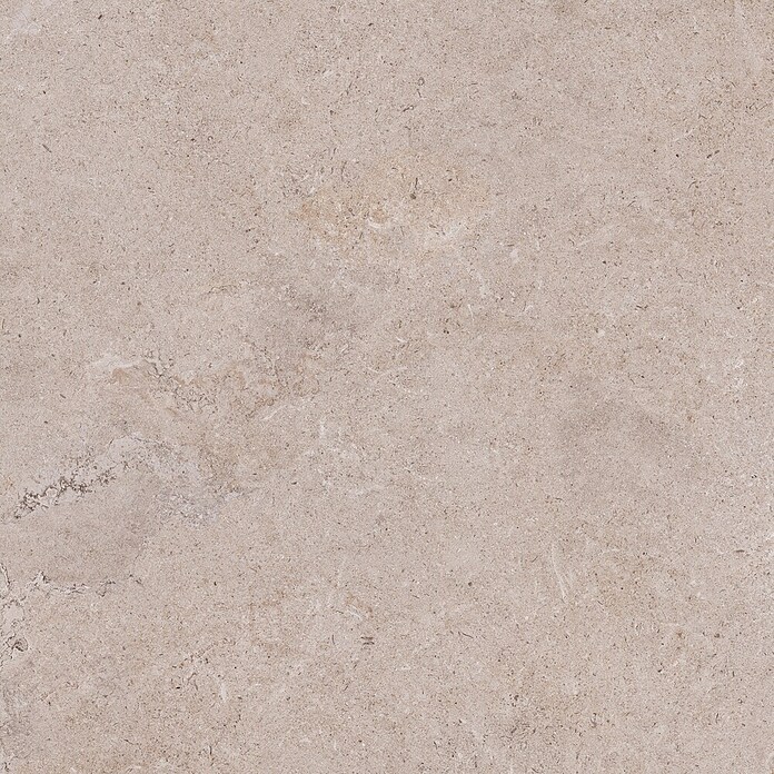 Palazzo Feinsteinzeugfliese Valdi (60 x 60 cm, Beige, Matt) | BAUHAUS