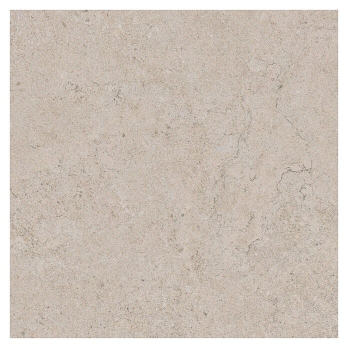 RAK Ceramics Feinsteinzeugfliese Valdi (60 x 60 cm, White, Matt) | BAUHAUS