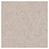 RAK Ceramics Feinsteinzeugfliese Valdi (60 x 60 cm, White, Matt) | BAUHAUS