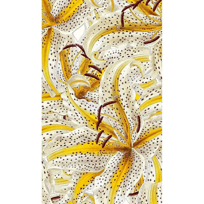 Marburg Smart Art Aspiration Fototapete Flower - B x H: 159 mm x 270 cm, Vlies - Nahaufnahme überlappender gelber und weißer Lilienblütenblätter mit dunkelbraunen Flecken und Staubblättern, ein lebhaftes Blumenmuster bildend.