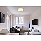 Globo LED okrogla stropna svetilka OPTIMA  (30 W, Ø x V: 46 x 8,5 cm, Toplo bela) | 3016 - Deckenleuchte | CACB - Deckenleuchten | CAC - Indoorleuchten | CA - Beleuchtung | C - Elektro | BAUHAUS