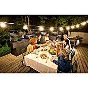 Cozze Pizzaofen Black Edition (Grillfläche (B x T): 60 x 60 cm) | BAUHAUS