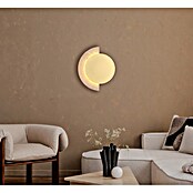 Globo Zidna LED svjetiljka Rojas  (14 W, Topla bijela) | BAUHAUS