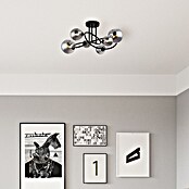 Globo Stropna svjetiljka Riha  (3,5 W, Crna, G9) | BAUHAUS