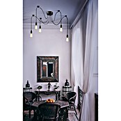 Globo Visilica Oliver  (60 W, E27, Crna) | BAUHAUS