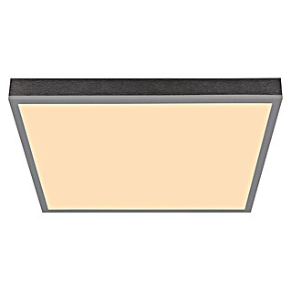 Globo LED stropna svjetiljka Doro (24 W, D x Š x V: 450 x 450 x 65 mm, Srebrna)