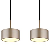 Globo Lámpara colgante LED redonda Raymond (40 W, Blanco cálido) | BAUHAUS