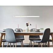 Globo LED viseća svjetiljka Novak  (20 W, Siva, Hladna bijela, D x Š x V: 880 x 90 x 1.500 mm) | BAUHAUS