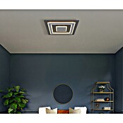 Globo LED stropna svjetiljka Jayden  (50 W, D x Š x V: 600 x 600 x 46 mm, Antracit, Svijetlo siva, Topla bijela) | BAUHAUS