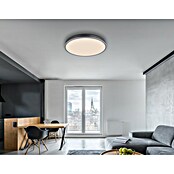 Globo LED panel Doro  (40 W, Siva, Topla bijela) | BAUHAUS