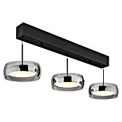Globo LED viseća svjetiljka Livion  (30 W, Crna, D x Š x V: 850 x 200 x 1.200 mm) | BAUHAUS