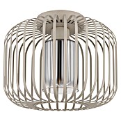 Globo Stropna svjetiljka Alfred  (40 W, Bež, E27) | BAUHAUS