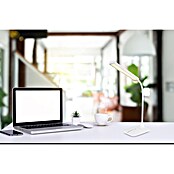 Globo Lámpara de sobremesa LED Ursino (9 W, L x An x Al: 58,7 x 20 x 107 cm, Blanco, Blanco frío) | BAUHAUS