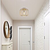 Globo Stropna svjetiljka Alfred  (40 W, Bež, E27) | BAUHAUS