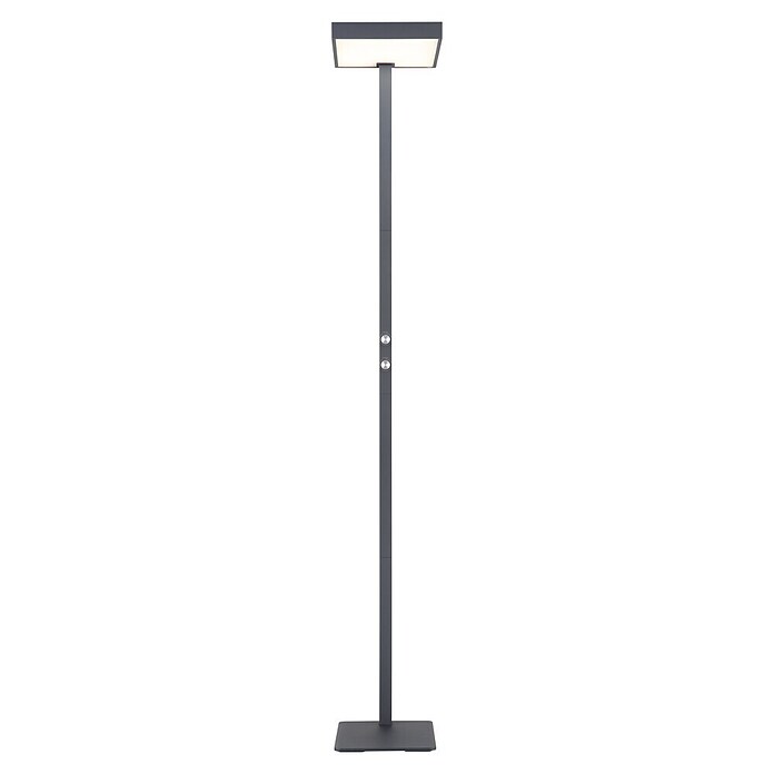 Globo LED stajaća svjetiljka Barker  (45 W, Visina: 1.848 mm, Siva) | BAUHAUS