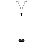 Globo LED stajaća svjetiljka Silvio  (6,5 W, Visina: 1.730 mm, Crna) | BAUHAUS