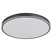 Globo LED panel Doro  (40 W, Siva, Topla bijela) | BAUHAUS