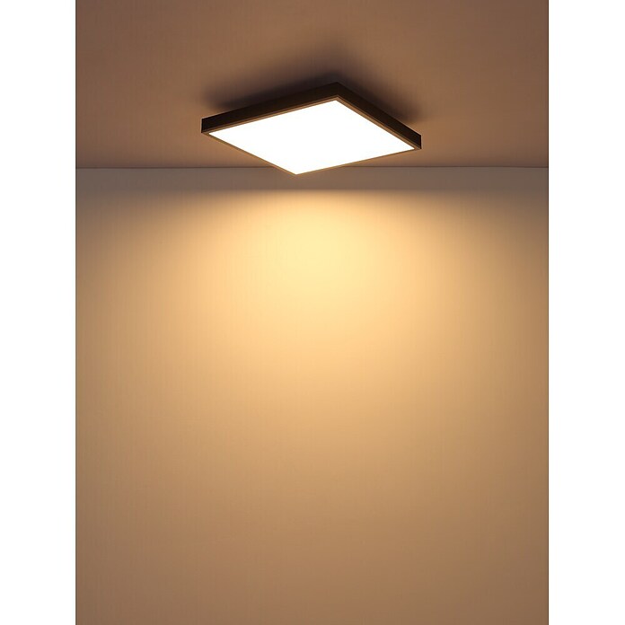 Globo LED stropna svjetiljka Doro  (24 W, D x Š x V: 450 x 450 x 65 mm, Srebrna) | BAUHAUS