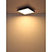 Globo LED stropna svjetiljka Doro  (24 W, D x Š x V: 450 x 450 x 65 mm, Srebrna) | BAUHAUS
