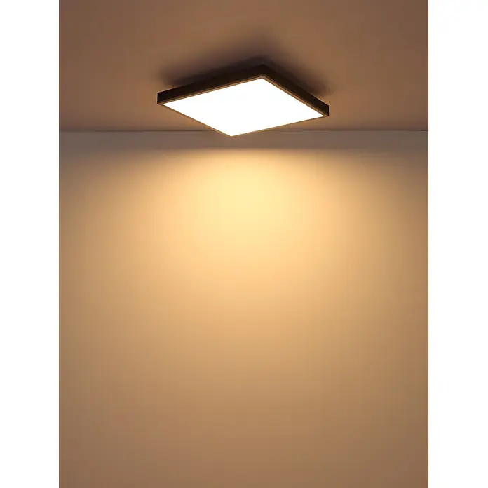 Globo LED-Deckenleuchte Doro - 24 W, L x B x H: 450 x 450 x 65 mm - Quadratische schwarze Deckenleuchte strahlt warmes, weiches Licht auf eine Wand.