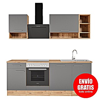 Respekta Cocina compacta Hilde (Ancho: 220 cm, Gris, Se pueden montar de forma intercambiable, Con electrodomésticos)