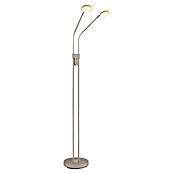 Globo LED stajaća svjetiljka Silvio  (6,5 W, Visina: 1.730 mm, Bež) | BAUHAUS