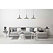 Globo LED viseća svjetiljka Lampone  (24 W, Crna, Neutralno bijelo) | BAUHAUS