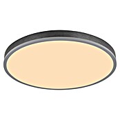 Globo LED panel Doro  (40 W, Siva, Topla bijela) | BAUHAUS
