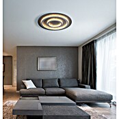 Globo LED stropna svjetiljka Jayden  (60 W, Crna, Svijetlo siva, Topla bijela, Ø x V: 550 x 60 mm) | BAUHAUS
