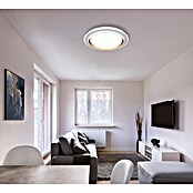 Globo Okrugla stropna LED svjetiljka Janice  (48 W, Ø x V: 490 x 70 mm, Bijela, Bijela, Topla bijela) | BAUHAUS