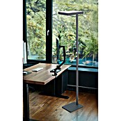 Globo LED stajaća svjetiljka Barker  (45 W, Visina: 1.848 mm, Siva) | BAUHAUS