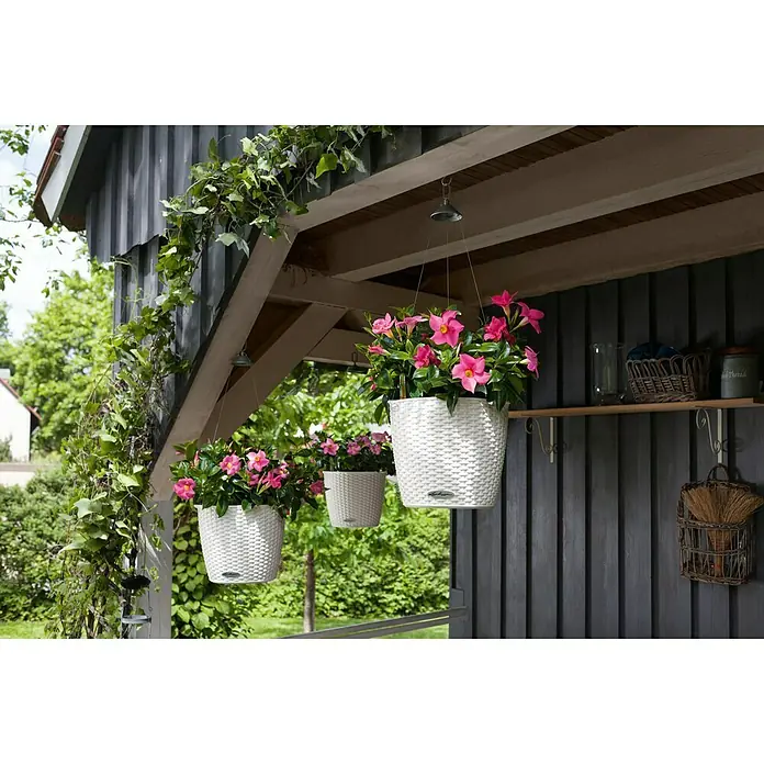 Lechuza Cottage Blumenampel Nido - Außenmaß (Ø x H): 27 x 23 cm, Kunststoff, Weiß - Drei weiße Blumentöpfe mit bunten Blumen hängen von einer Veranda und bringen Farbe in den Außenbereich.