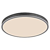 Globo LED panel Doro  (40 W, Siva, Topla bijela) | BAUHAUS