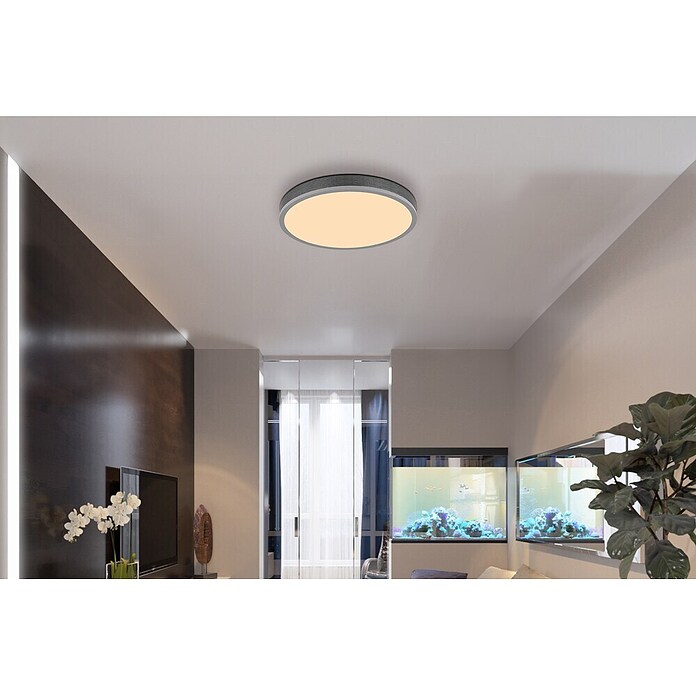 Globo Panel LED redondo Doro (24 W, Ø x Al: 45 x 8,5 cm) | BAUHAUS