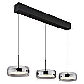 Globo LED viseća svjetiljka Livion  (30 W, Crna, D x Š x V: 850 x 200 x 1.200 mm) | BAUHAUS